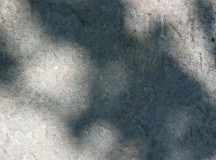 IMG_0575.JPG