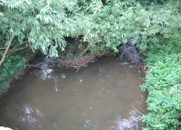 IMG_0925.JPG