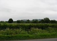 IMG_0941.JPG