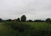 IMG_0947.JPG