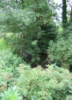 IMG_0959.JPG
