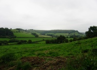 IMG_0977.JPG