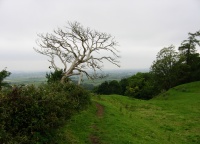 IMG_0993.JPG