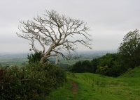 IMG_0994.JPG