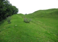IMG_0996.JPG