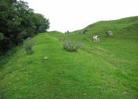 IMG_0998.JPG